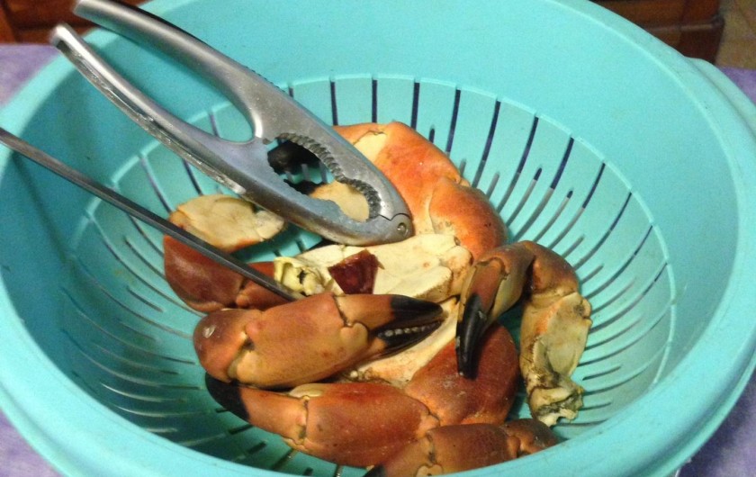 Location de vacances - Villa à Audresselles