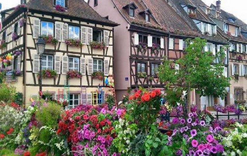 Location de vacances - Appartement à Colmar
