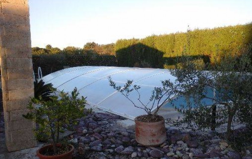 Location de vacances - Villa à Puget-sur-Argens