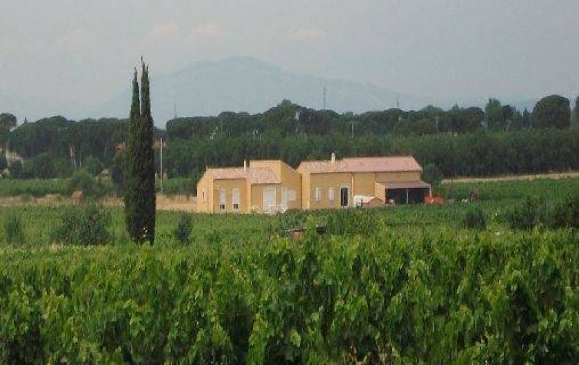 Location de vacances - Gîte à Sallèles-d'Aude