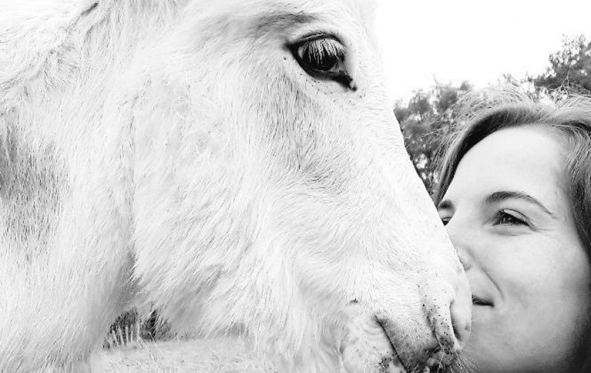 Location de vacances - Gîte à La Force - Fanny et Chevalier Jack-jack de Petit Durbec