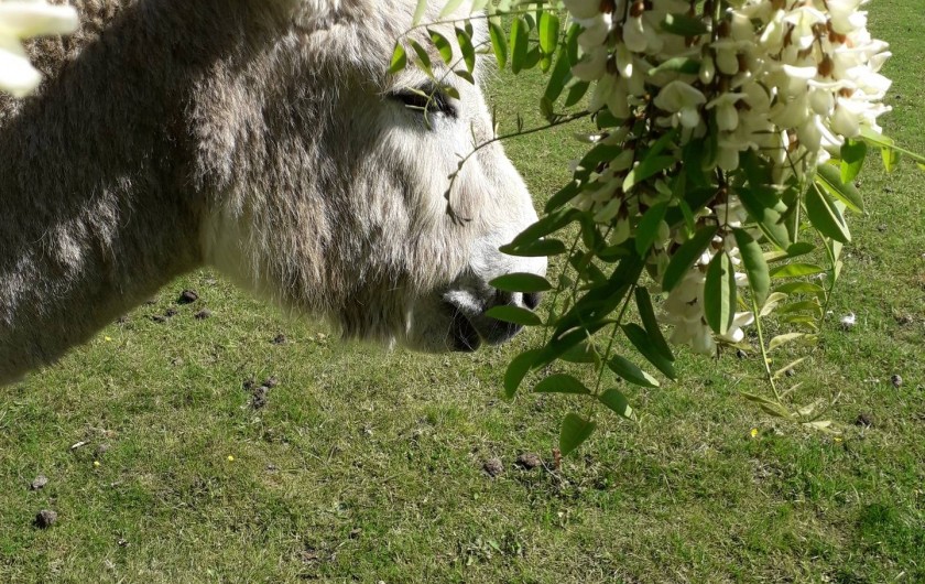 Location de vacances - Gîte à La Force - Ugo