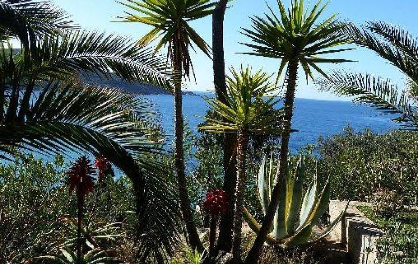 Location de vacances - Villa à Cargèse