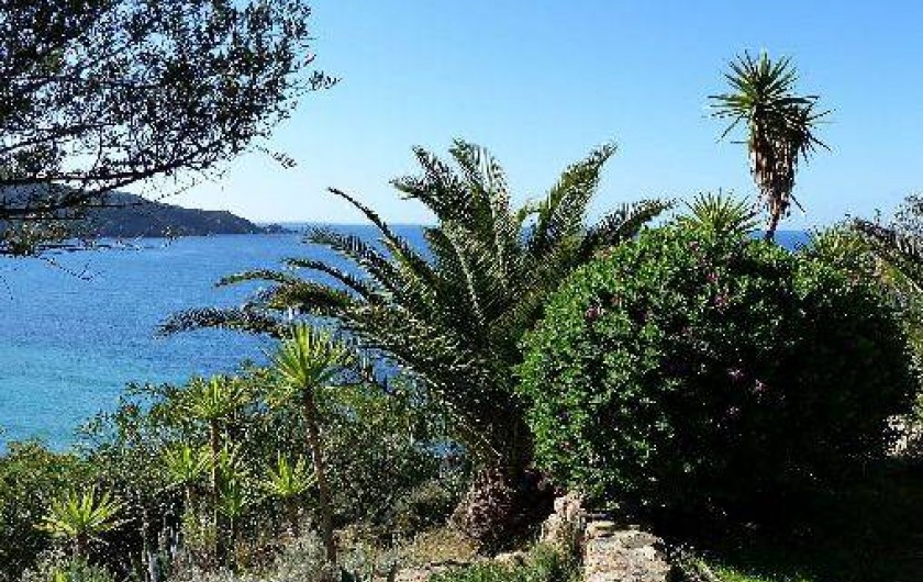 Location de vacances - Villa à Cargèse