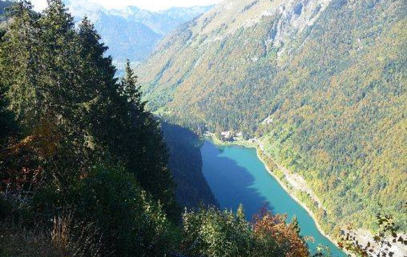 Location de vacances - Chalet à Montriond