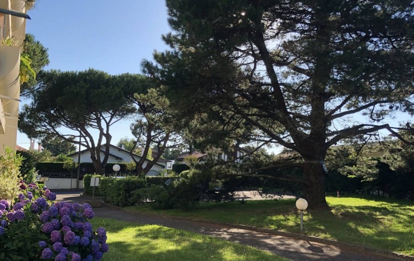 Location de vacances - Studio à Biarritz