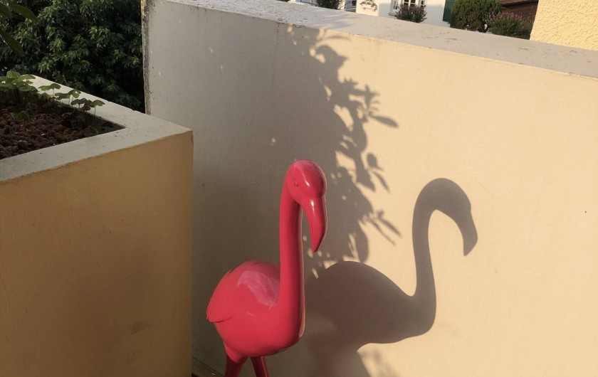 Location de vacances - Studio à Biarritz