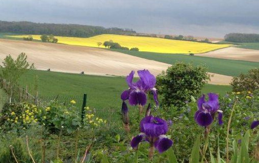 Location de vacances - Villa à Sequehart