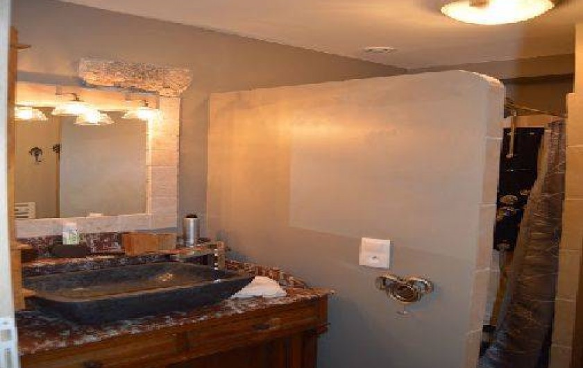 Location de vacances - Gîte à Le Blanc