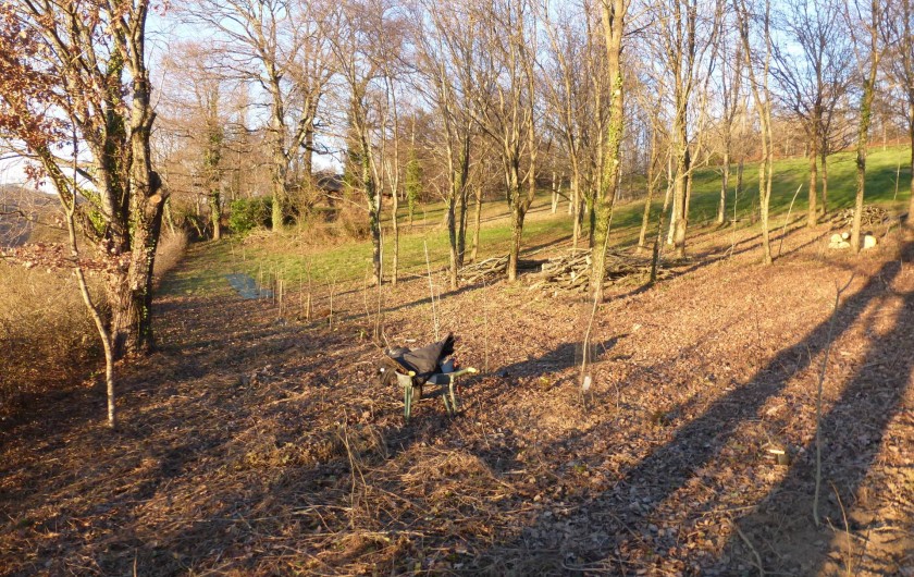 Location de vacances - Gîte à Saint-Hilaire-Peyroux - Notre environnement, permaculture et forêt fruitière
