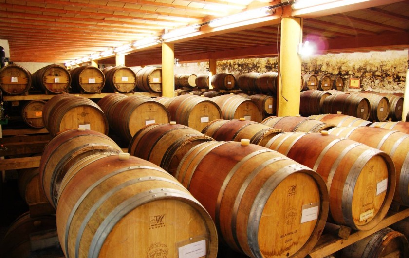 Location de vacances - Château - Manoir à Saint-Pargoire