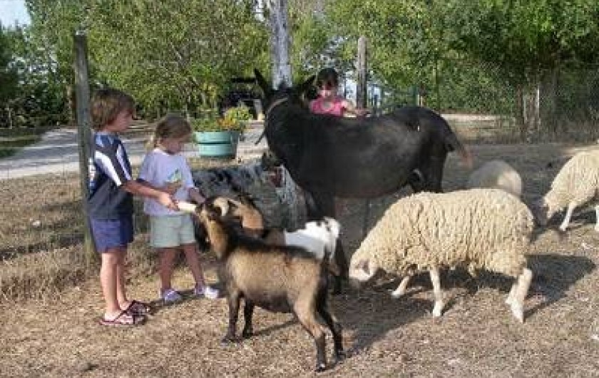 Location de vacances - Gîte à Castelnaudary