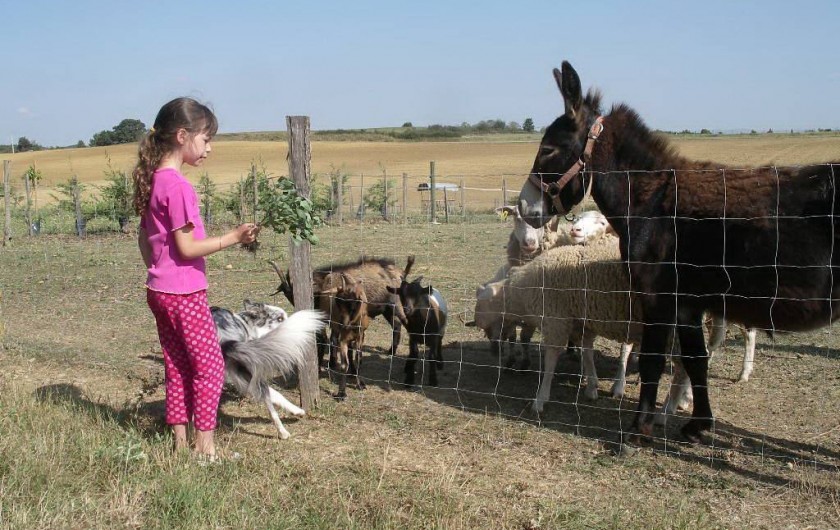 Location de vacances - Gîte à Castelnaudary