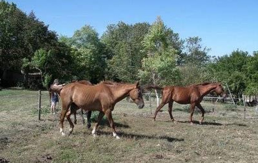 Location de vacances - Gîte à Castelnaudary