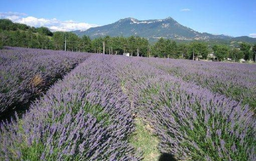 Location de vacances - Gîte à Aiglun