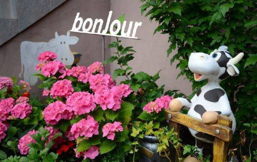 Location de vacances - Gîte à Witternheim