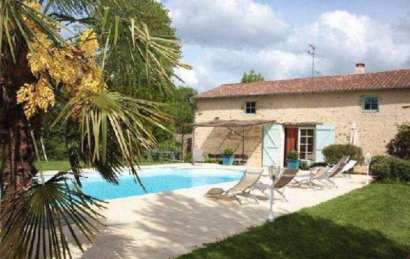 Location de vacances - Gîte à La Jaudonnière - Vue du palmier