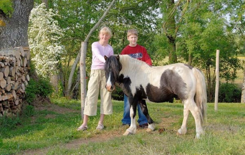 Location de vacances - Gîte à La Jaudonnière - Iris notre poney toujours là pour amuser les enfants.