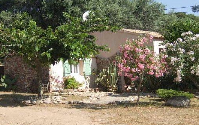 Location de vacances - Maison - Villa à Porto-Vecchio