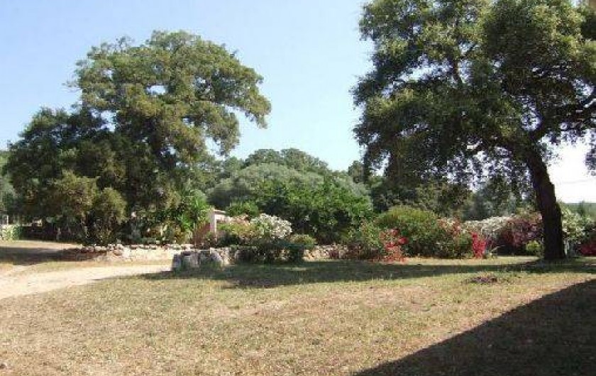 Location de vacances - Maison - Villa à Porto-Vecchio