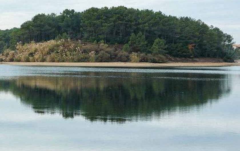 Location de vacances - Appartement à Vieux-Boucau-les-Bains