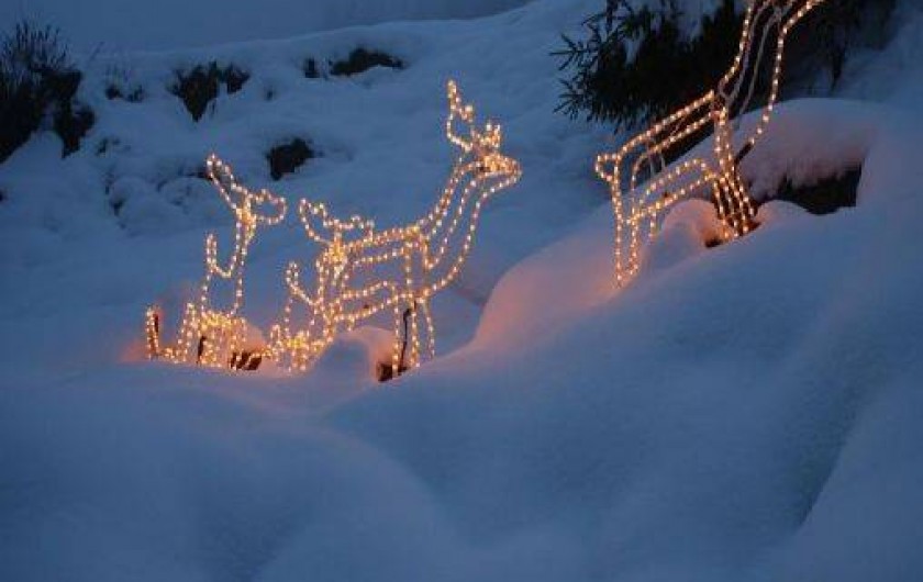 Location de vacances - Gîte à Wangenbourg-Engenthal