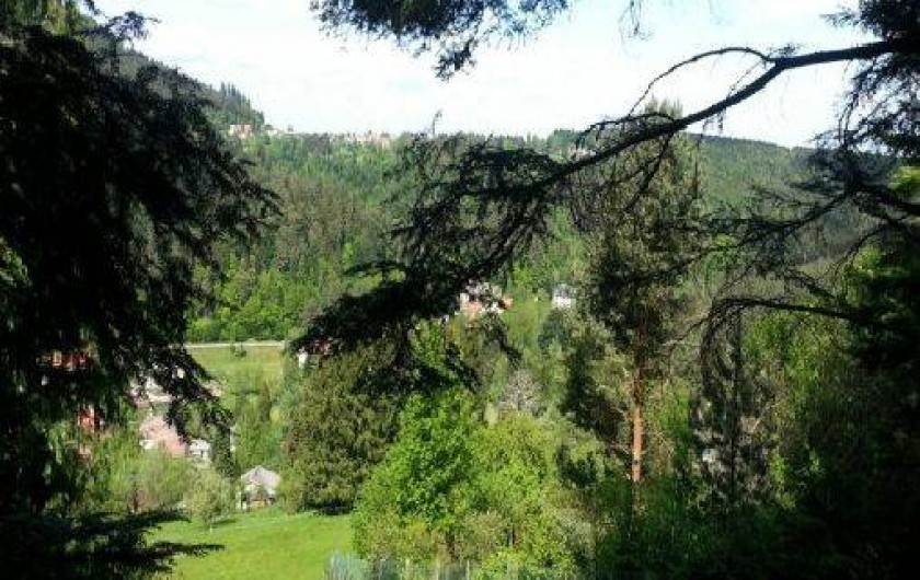 Location de vacances - Gîte à Wangenbourg-Engenthal