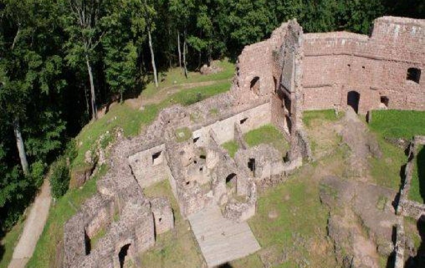 Location de vacances - Gîte à Wangenbourg-Engenthal