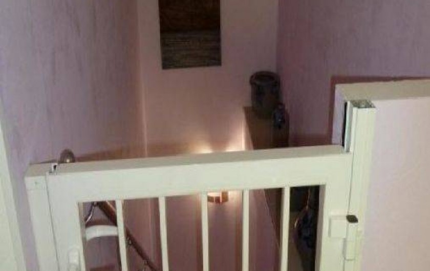 Location de vacances - Gîte à Wangenbourg-Engenthal