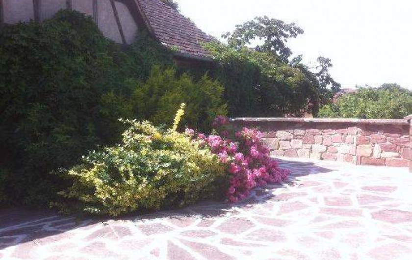 Location de vacances - Gîte à Saessolsheim