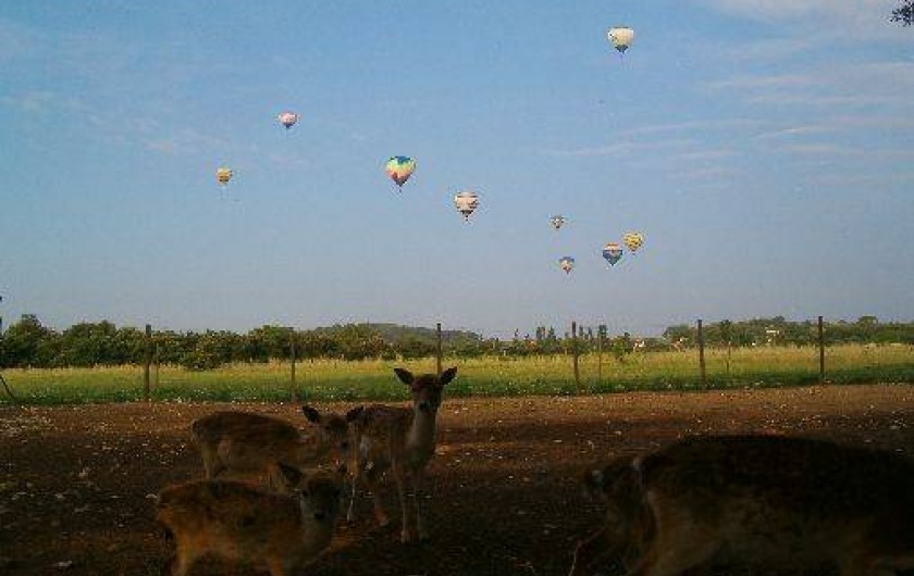 Location de vacances - Mas à Arpaillargues-et-Aureillac
