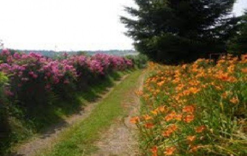 Location de vacances - Gîte à Drugeac