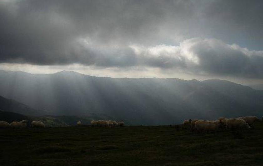 Location de vacances - Appartement à Estérençuby