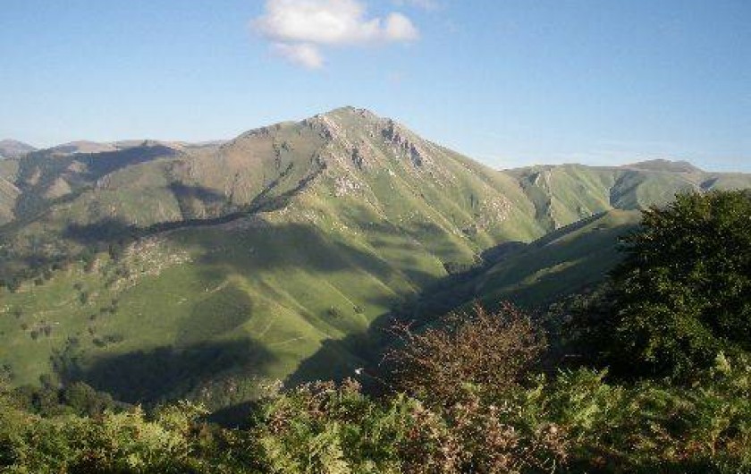 Location de vacances - Appartement à Estérençuby