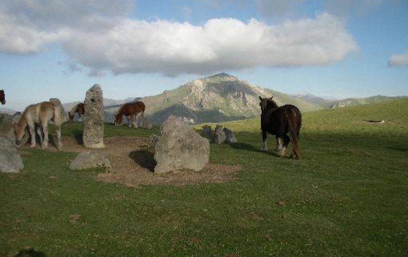Location de vacances - Appartement à Estérençuby