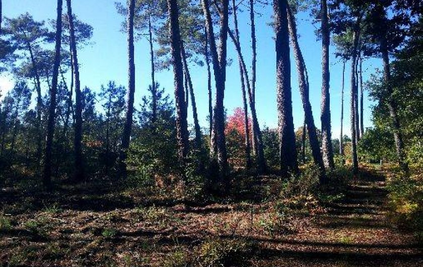 Location de vacances - Villa à Gourbera