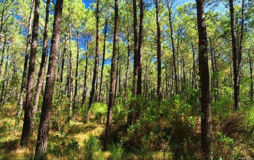 Location de vacances - Villa à Vielle-Saint-Girons