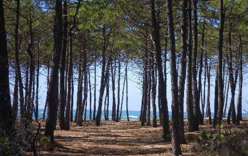Location de vacances - Villa à Vielle-Saint-Girons