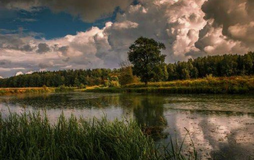 Location de vacances - Villa à Vielle-Saint-Girons