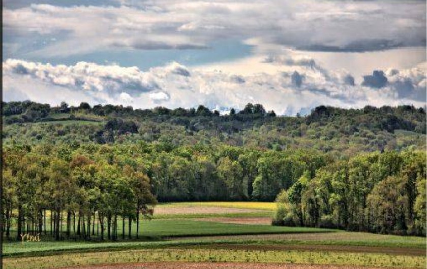 Location de vacances - Villa à Vielle-Saint-Girons