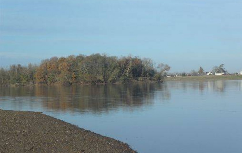 Location de vacances - Gîte à Chênehutte-Trèves-Cunault