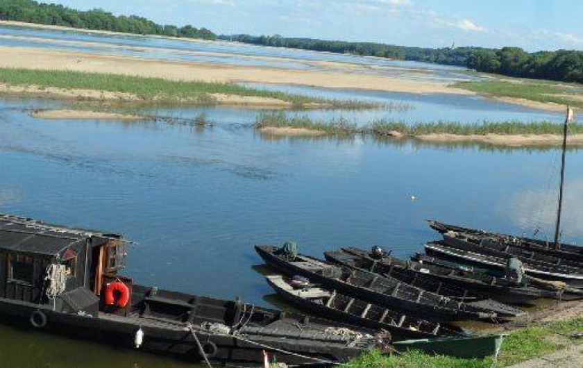 Location de vacances - Gîte à Chênehutte-Trèves-Cunault