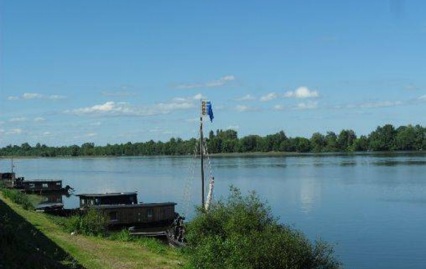 Location de vacances - Gîte à Chênehutte-Trèves-Cunault