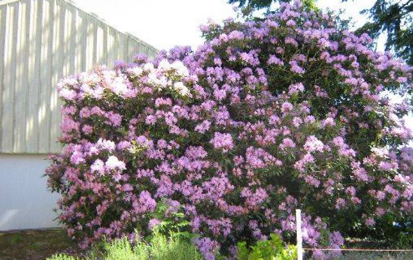 Location de vacances - Maison - Villa à Plonévez-du-Faou