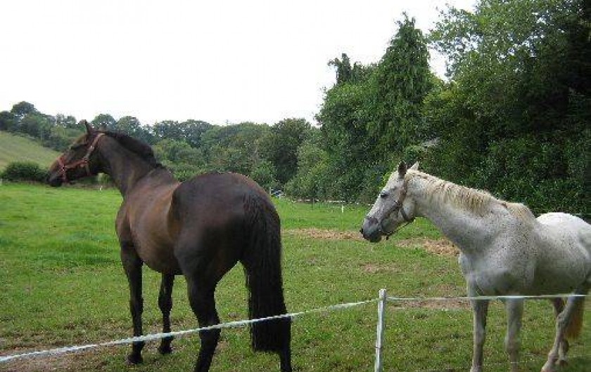 Location de vacances - Maison - Villa à Plonévez-du-Faou