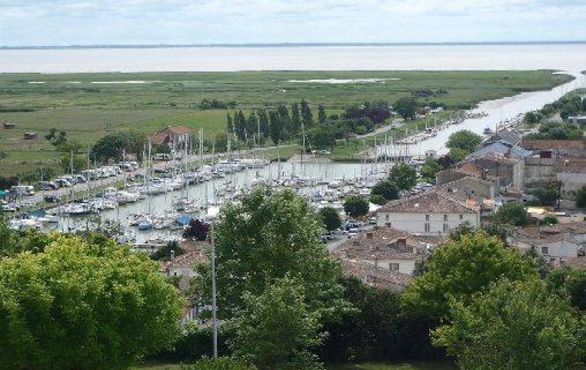 Location de vacances - Maison - Villa à Mortagne-sur-Gironde