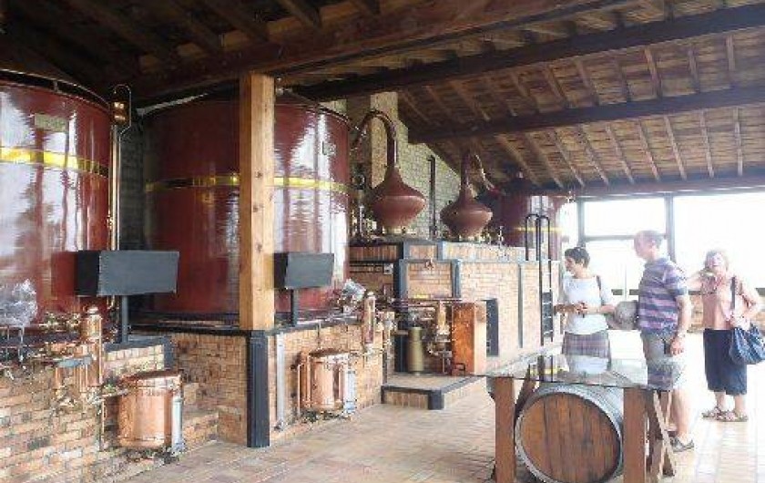 Location de vacances - Maison - Villa à Mortagne-sur-Gironde