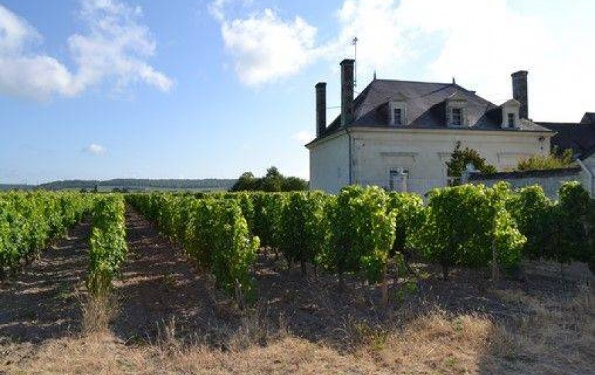 Location de vacances - Maison - Villa à Saint-Nicolas-de-Bourgueil