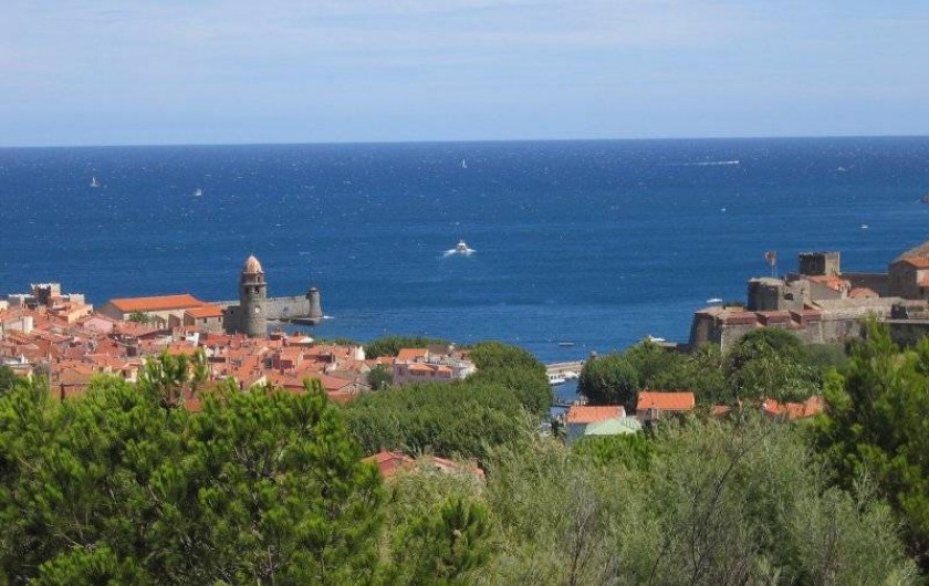 Location de vacances - Appartement à Collioure