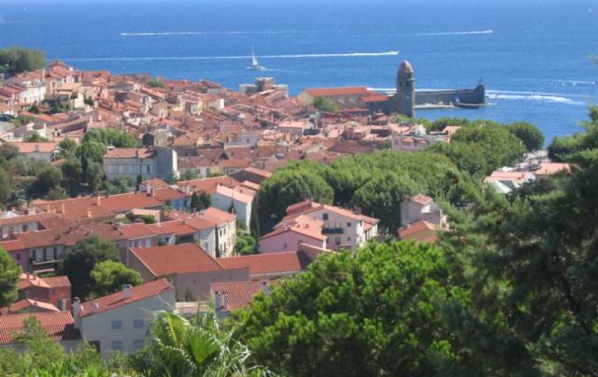 Location de vacances - Appartement à Collioure